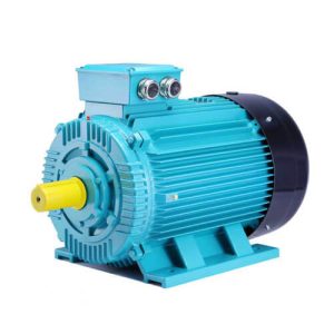 FEM Dust Explosion Proof Motor