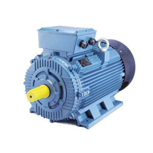 FEM Permanent Magnet Motor